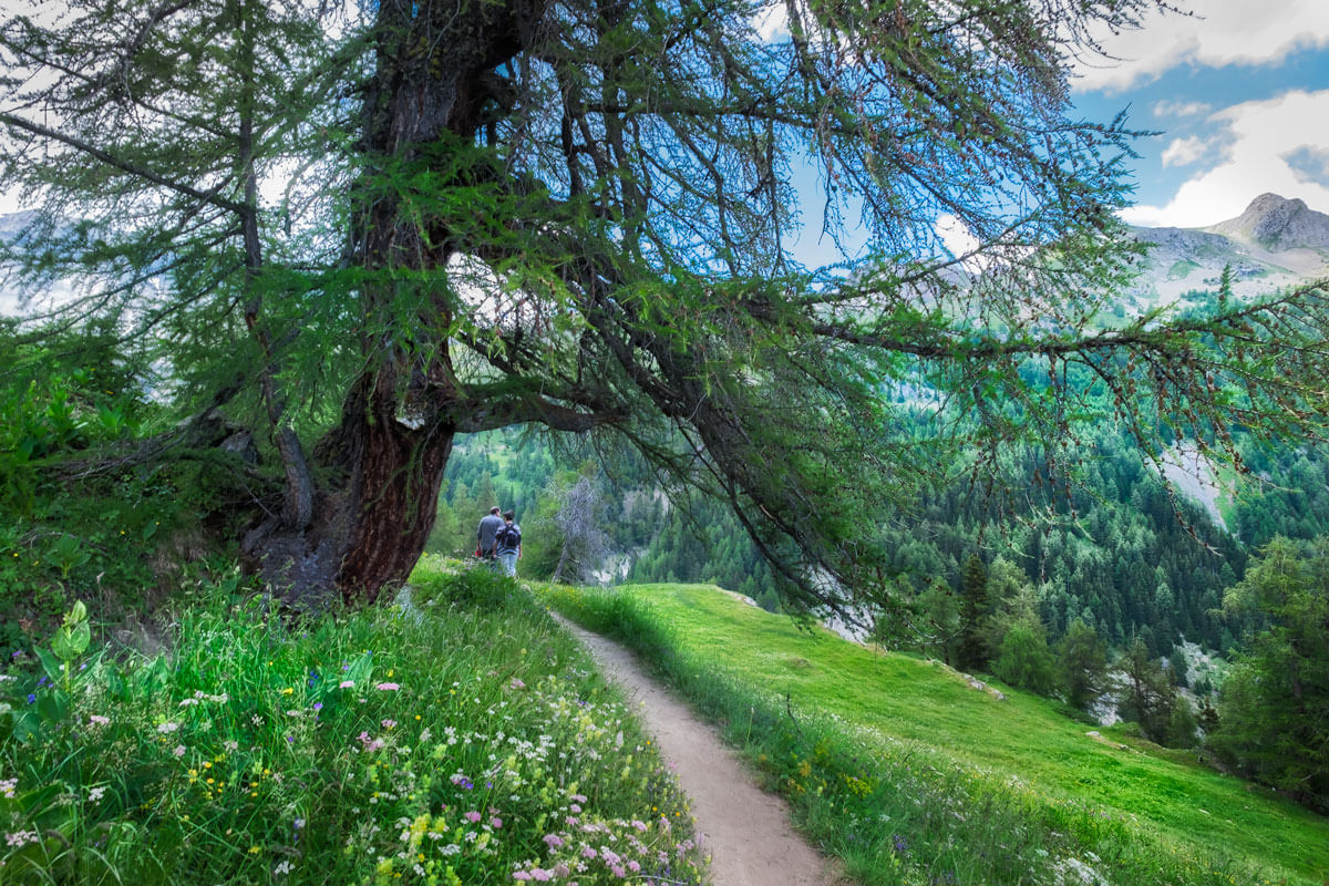 Crans-Montana Summer - Hiking