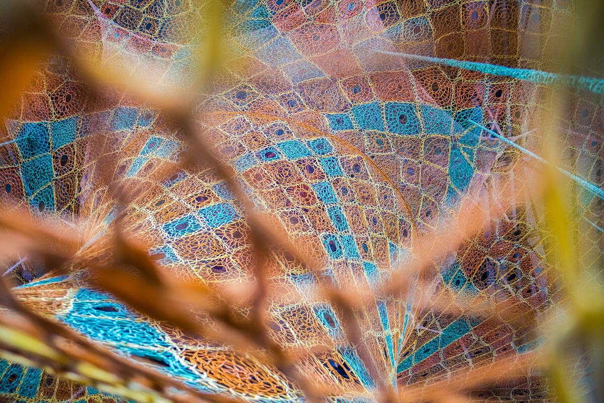 GaiaMotherTree - Ernesto Neto - Foundation Beyeler