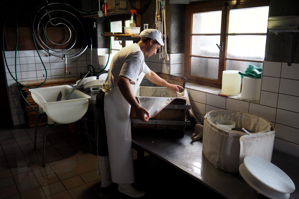 Alpine Cheese Making at Musenalp in Isenthal, Switzerland