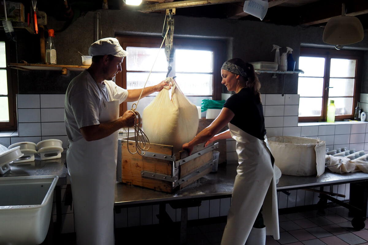 Alpine Cheese Making at Musenalp in Isenthal, Switzerland