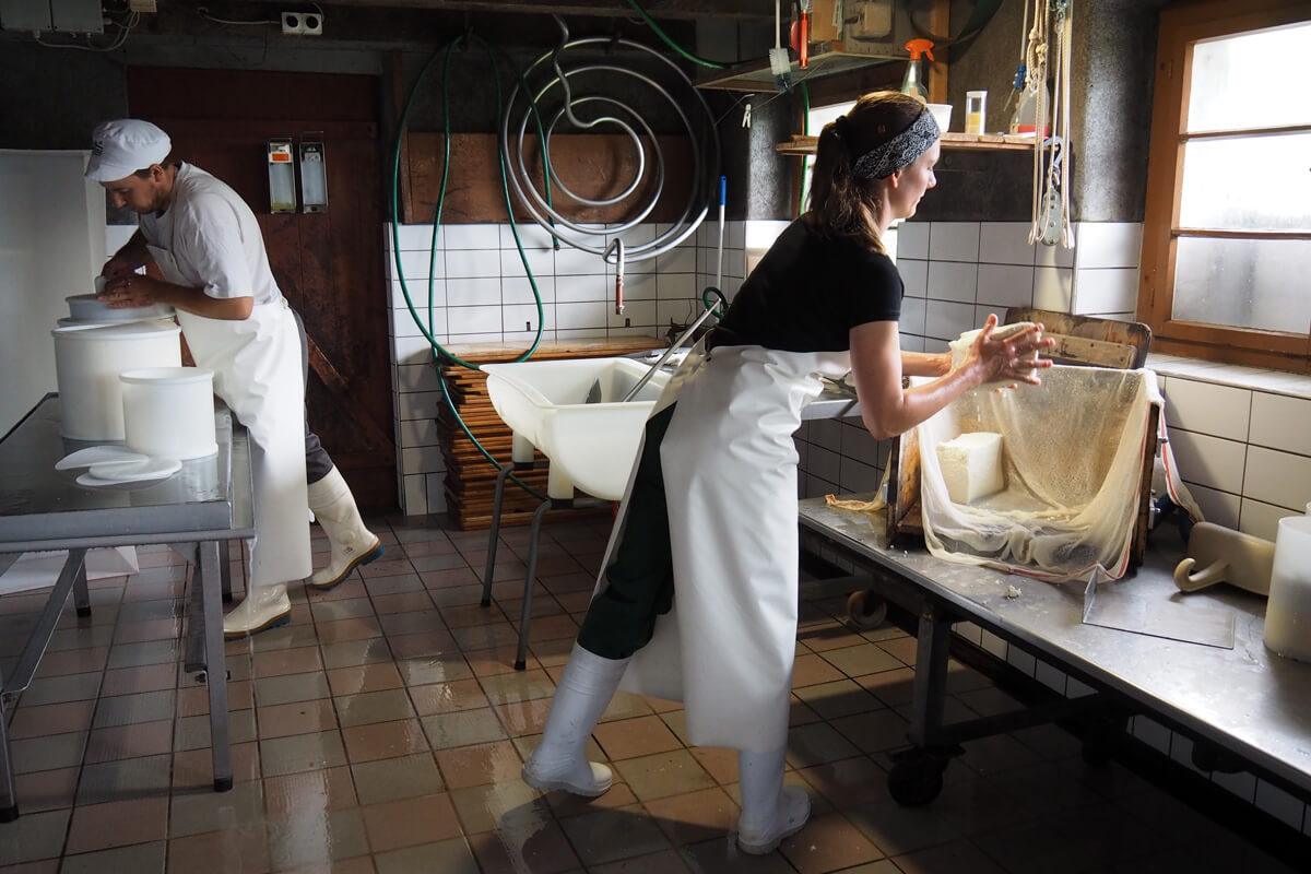 Alpine Cheese Making at Musenalp in Isenthal, Switzerland