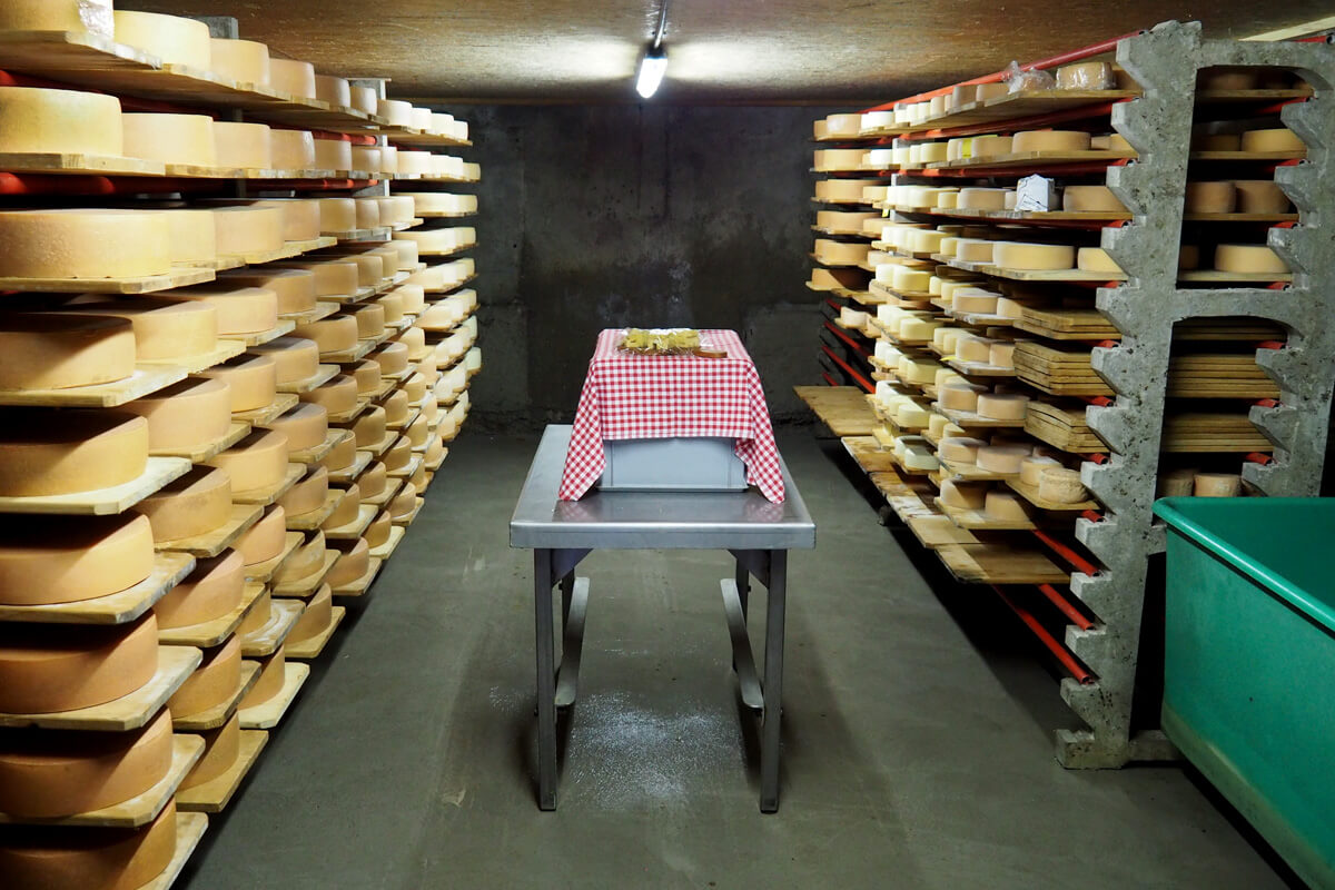 Alpine Cheese Making at Musenalp in Isenthal, Switzerland