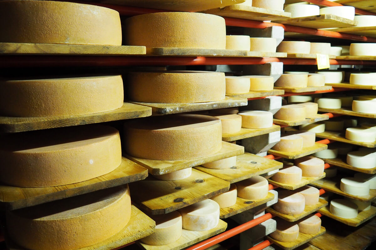 Alpine Cheese Making at Musenalp in Isenthal, Switzerland