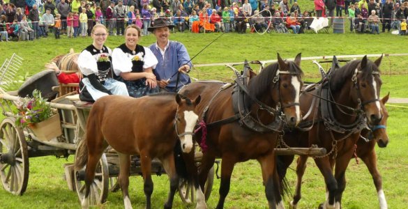 Farmers Horse Races Schwarzenburg