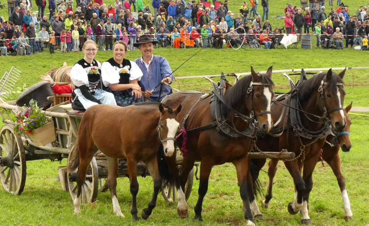 Farmers Horse Races Schwarzenburg