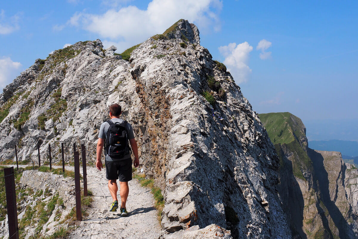 Mount Pilatus Flower Trail