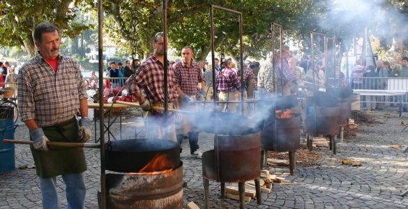 Ascona Chestnut Festival