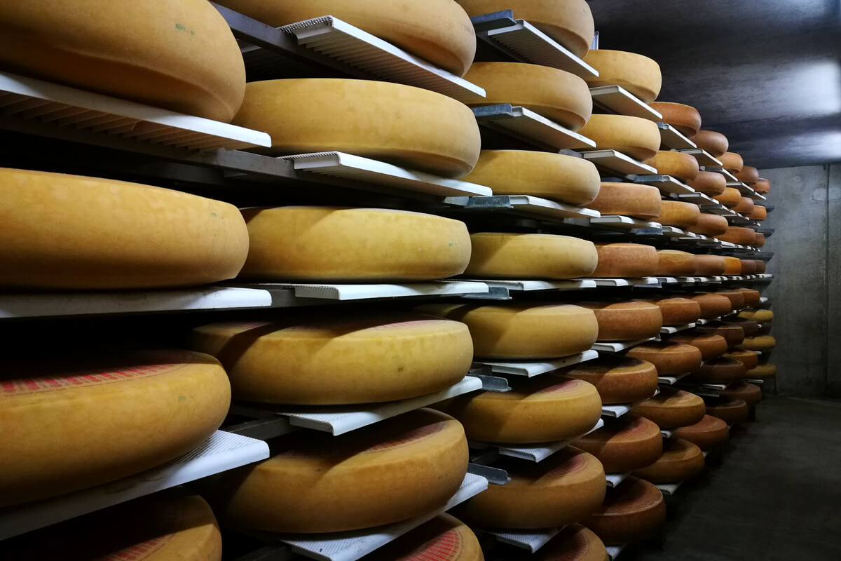 Laboratorio di produzione del formaggio Emmental