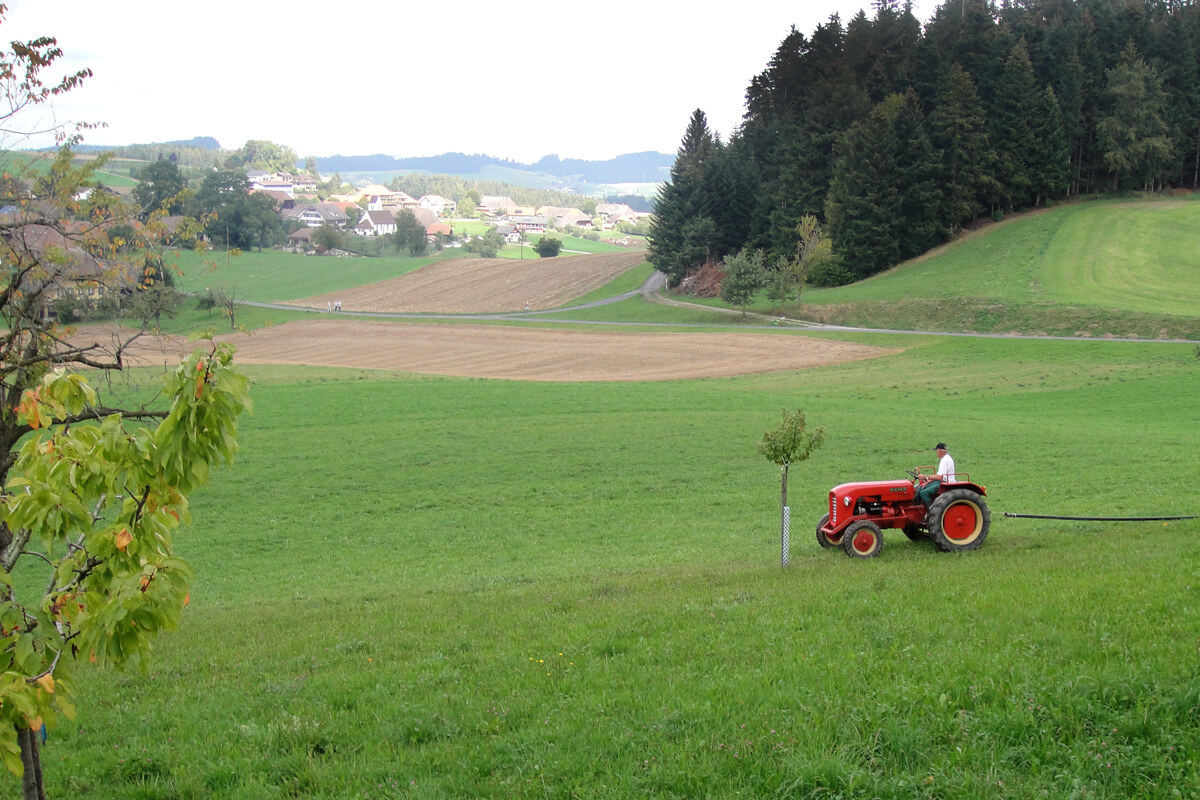 az Emmental-völgy Svájcban