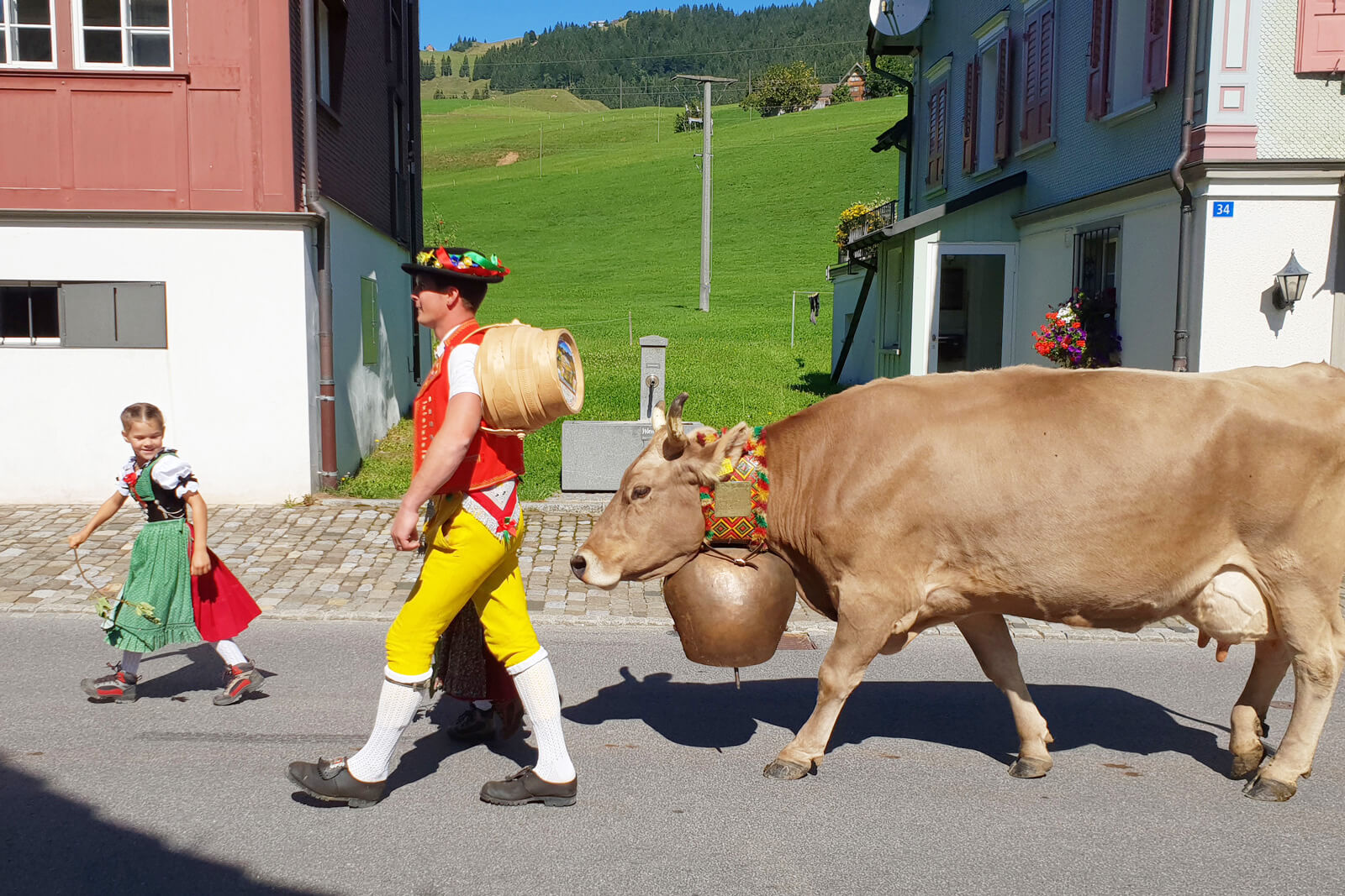 Alpine Descent in Gonten, Switzerland