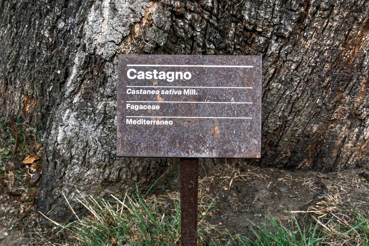 Sentiero del Castagno - Ticino Chestnut Hike