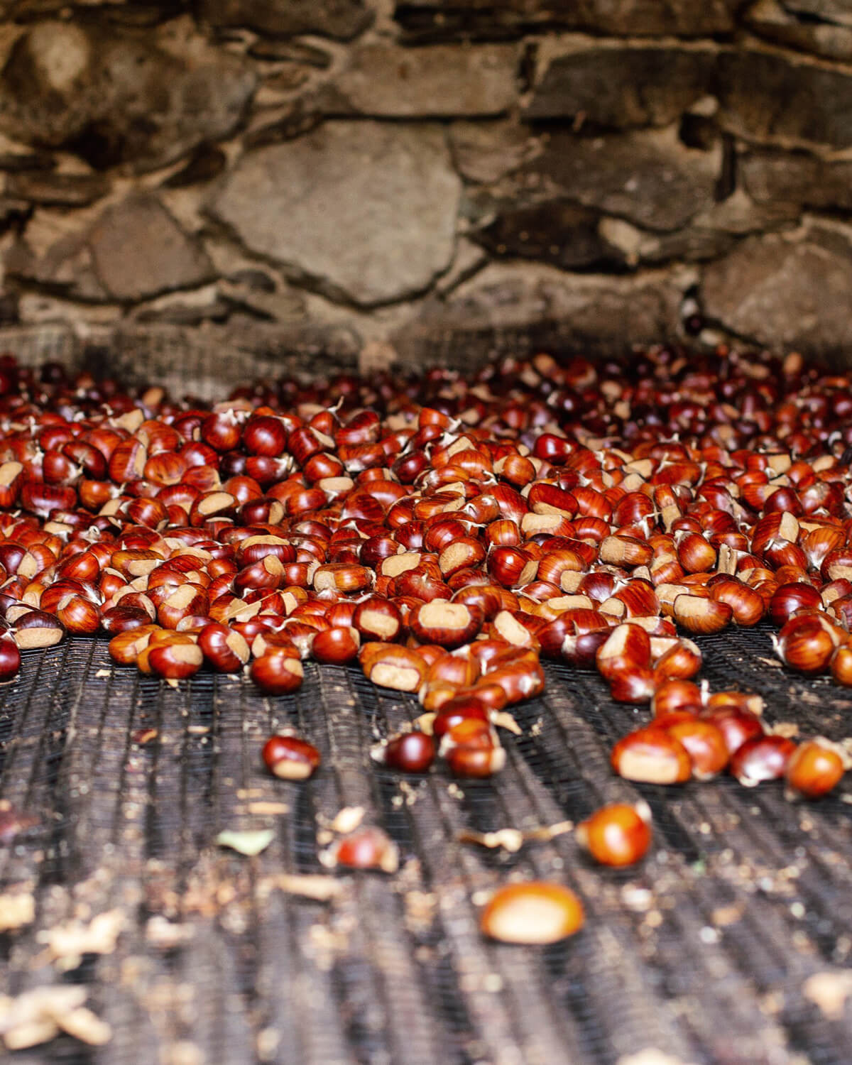 Sentiero del Castagno - Ticino Chestnut Hike