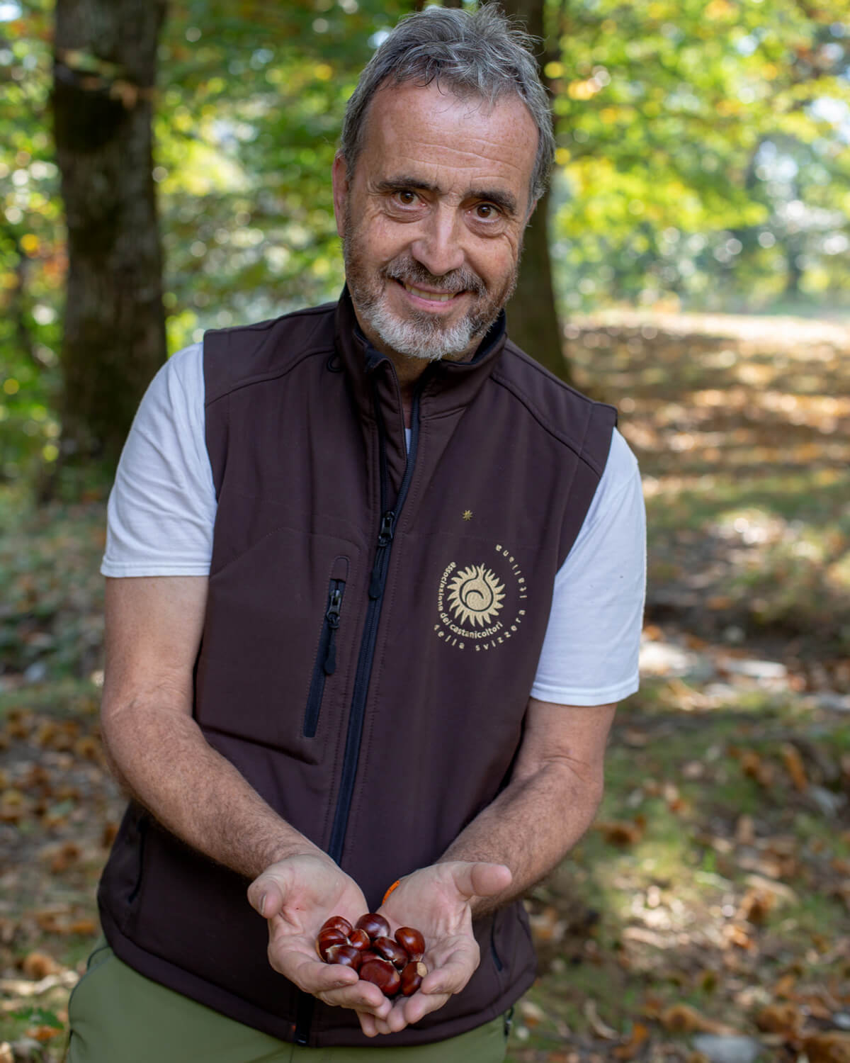 Sentiero del Castagno - Ticino Chestnut Hike