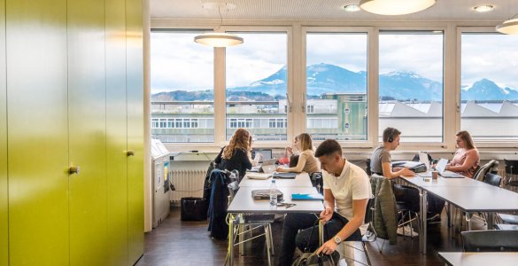 Study in Switzerland like a boss - Hochschule Luzern