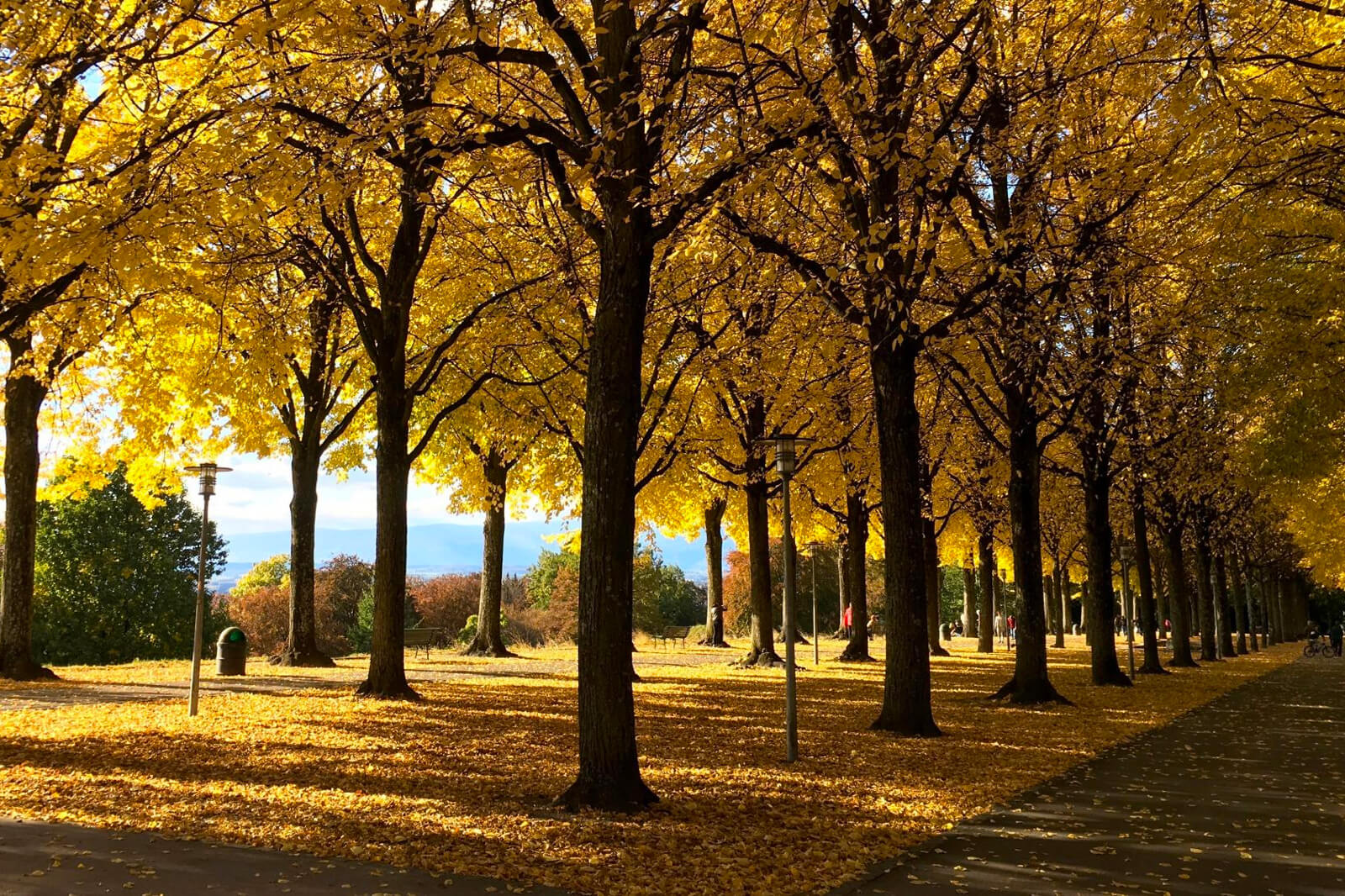 Lausanne Autumn Fondue