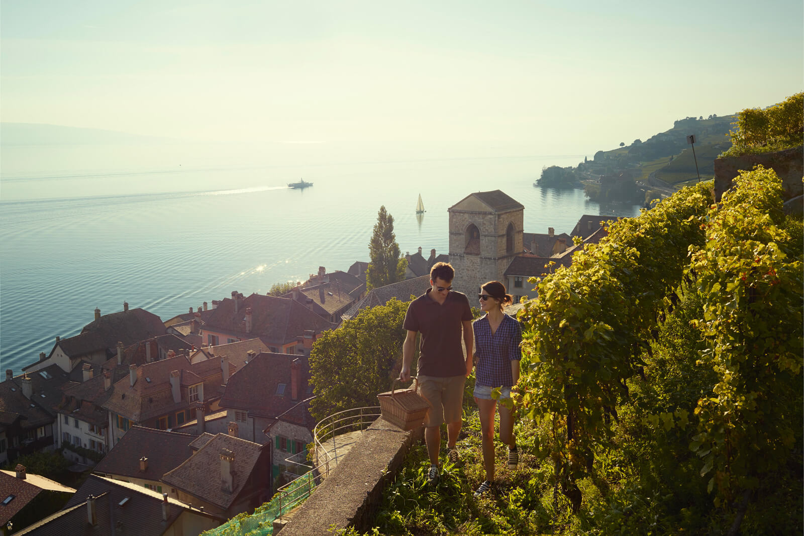 Lavaux Vineyards during Autumn