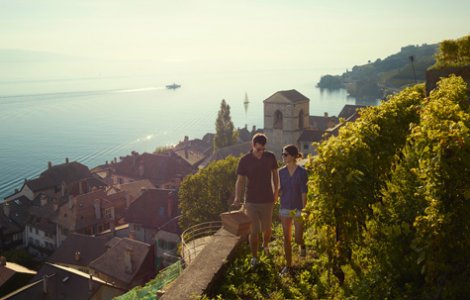 Lavaux Vineyards