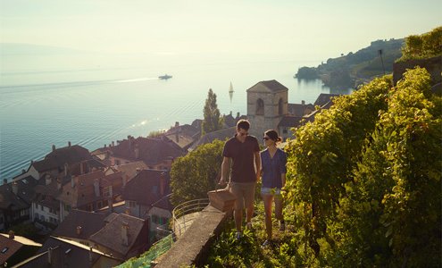 Lavaux Vineyards