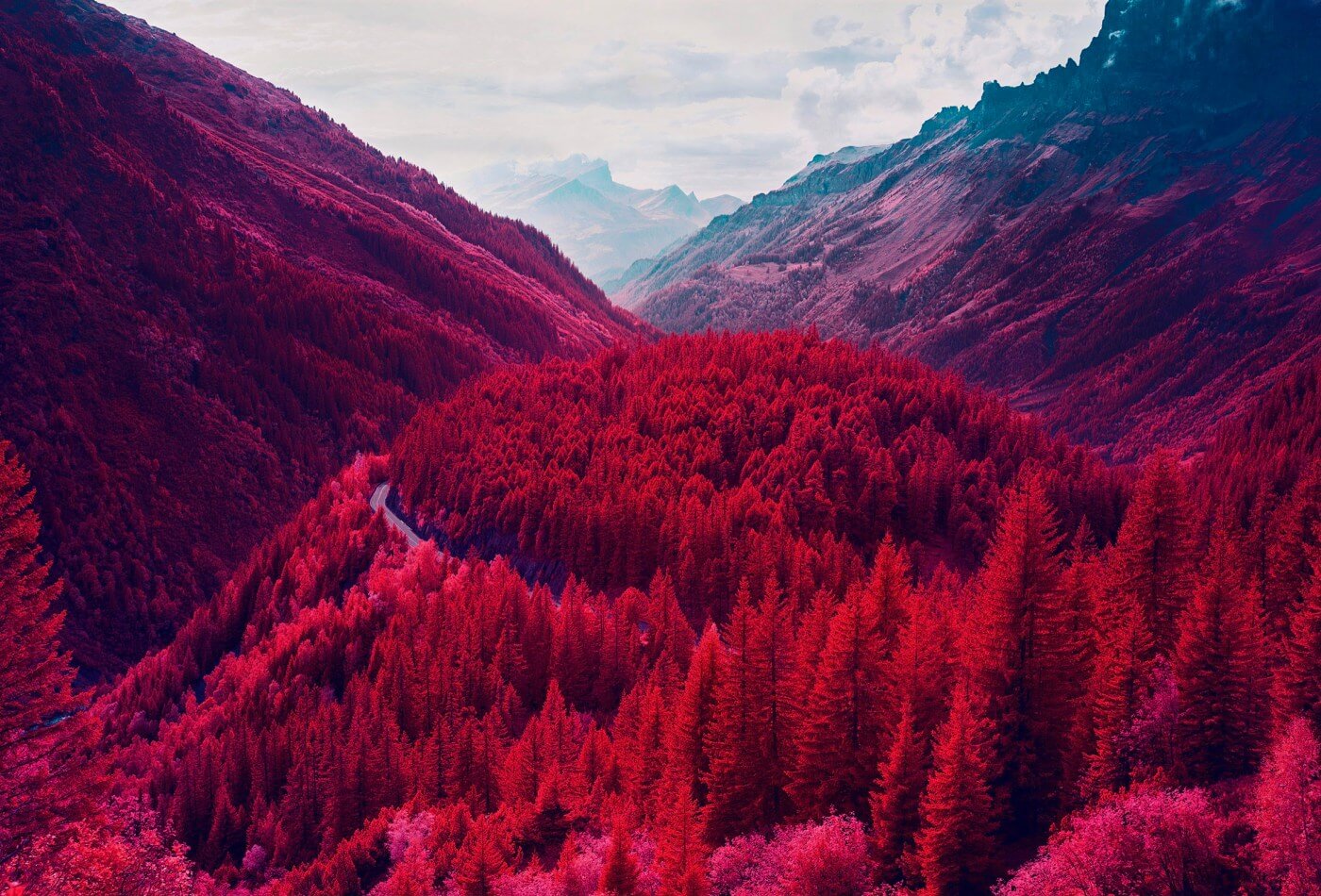 Swiss Alps - Infrared Moss and Fog by Zak van Biljon
