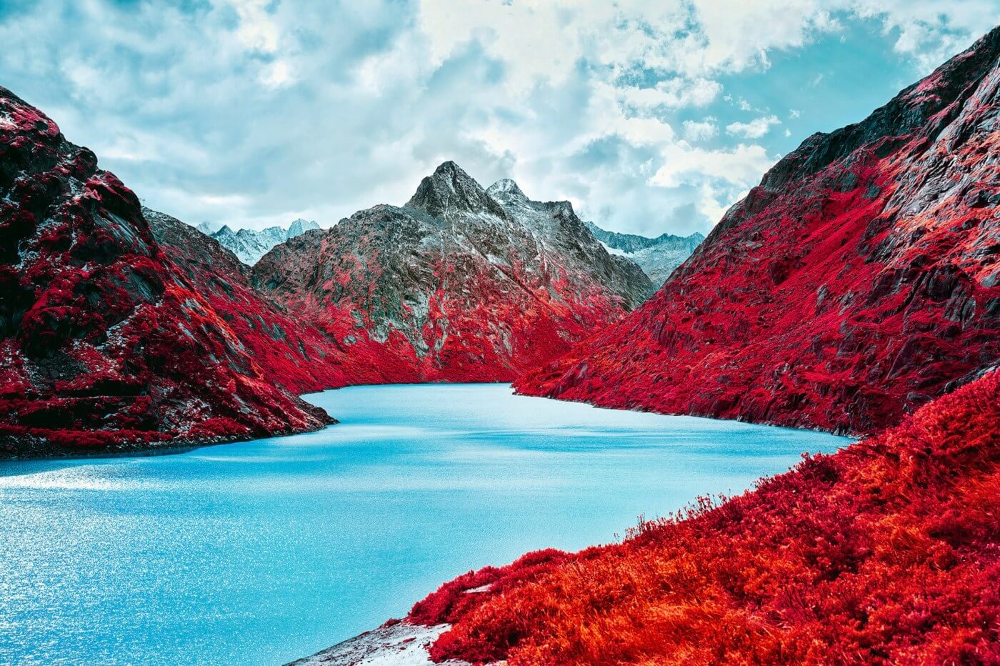 Swiss Alps - Infrared Moss and Fog by Zak van Biljon