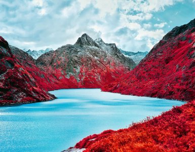 Swiss Alps - Infrared Moss and Fog by Zak van Biljon