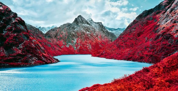 Swiss Alps - Infrared Moss and Fog by Zak van Biljon