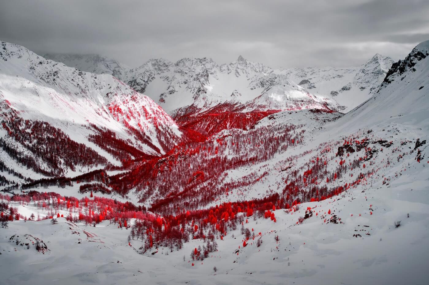 Swiss Alps - Infrared Moss and Fog by Zak van Biljon