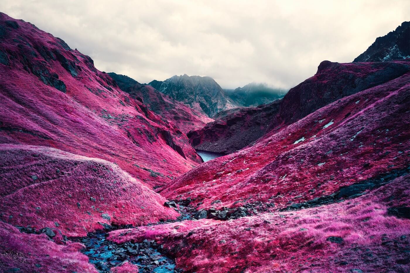 Swiss Alps - Infrared Moss and Fog by Zak van Biljon