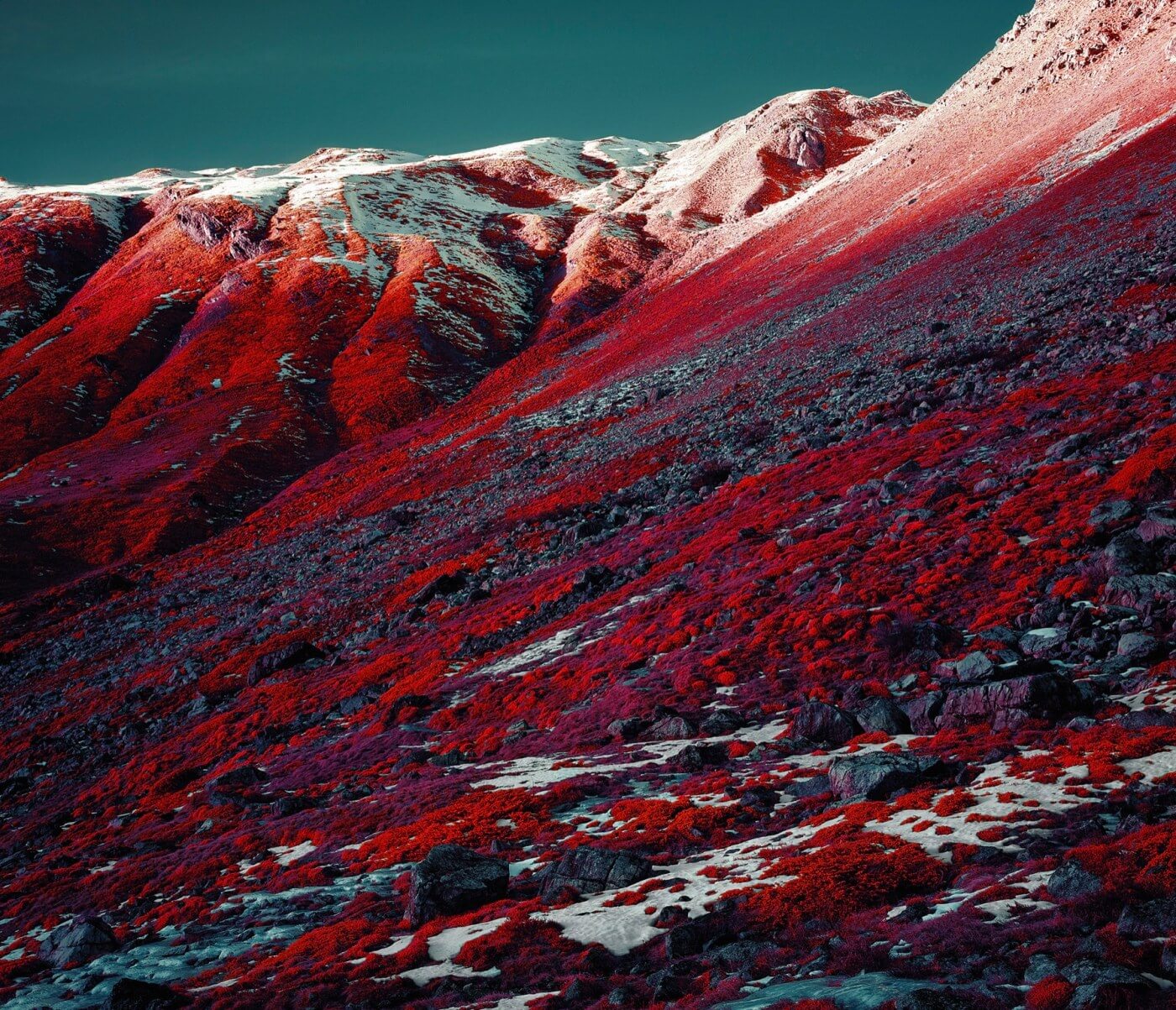 Swiss Alps - Infrared Moss and Fog by Zak van Biljon