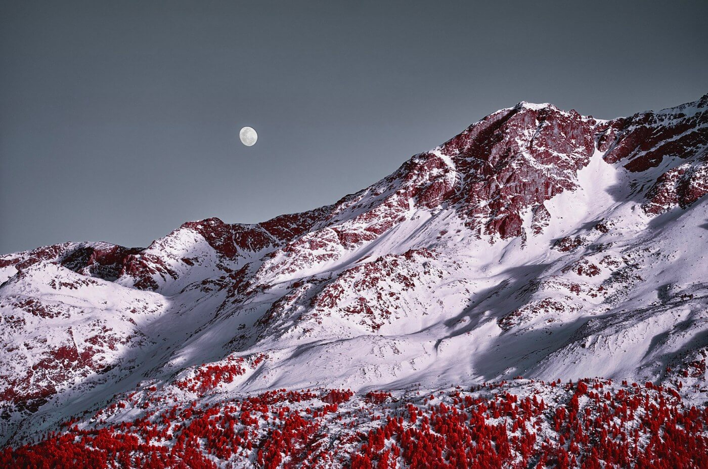 Swiss Alps - Infrared Moss and Fog by Zak van Biljon