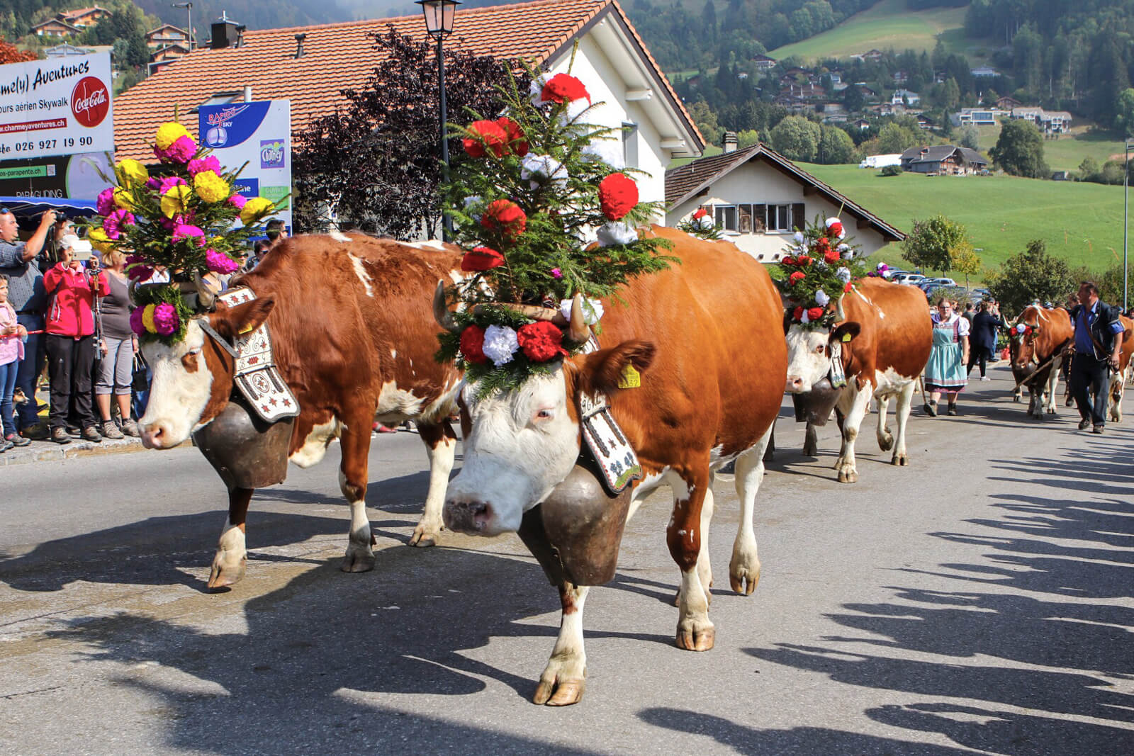 Alpabzug Alpine Cow Parade in Charmey