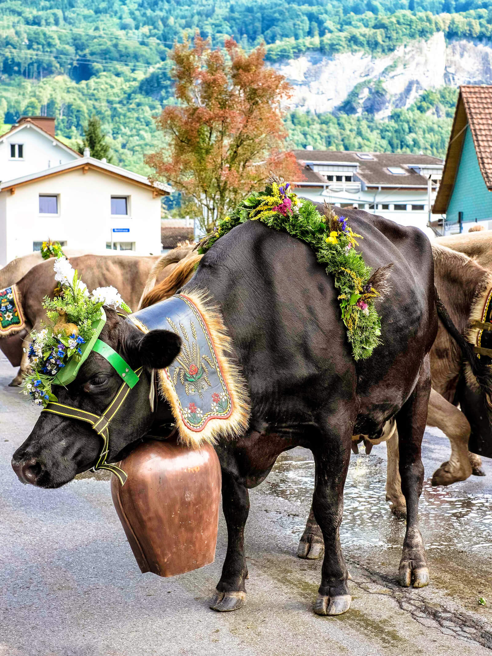 Swiss Cow Parade 2020 - All About Cow Photos