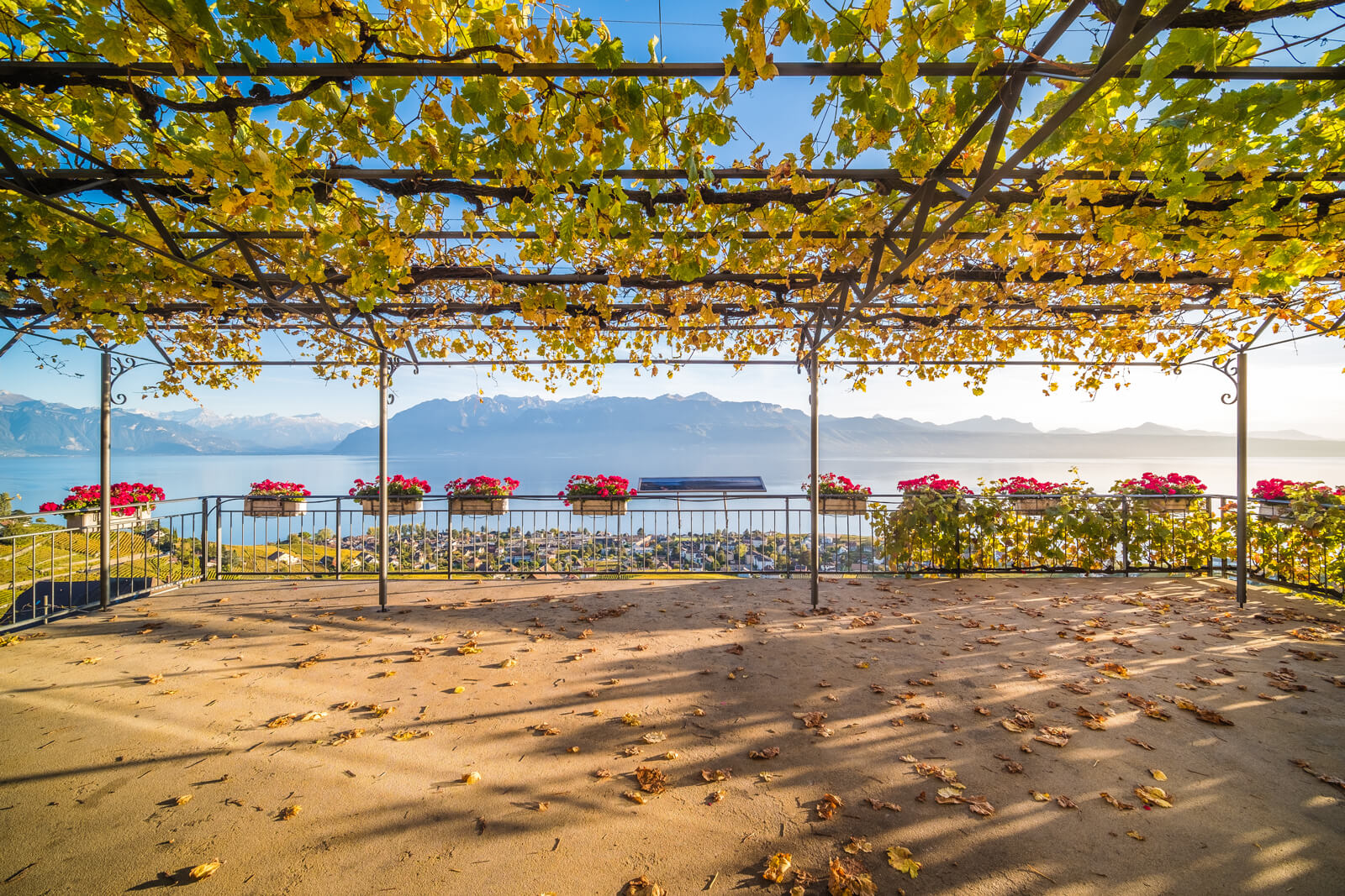 Domaine Croix Duplex Winery in Grandvaux, Switzerland