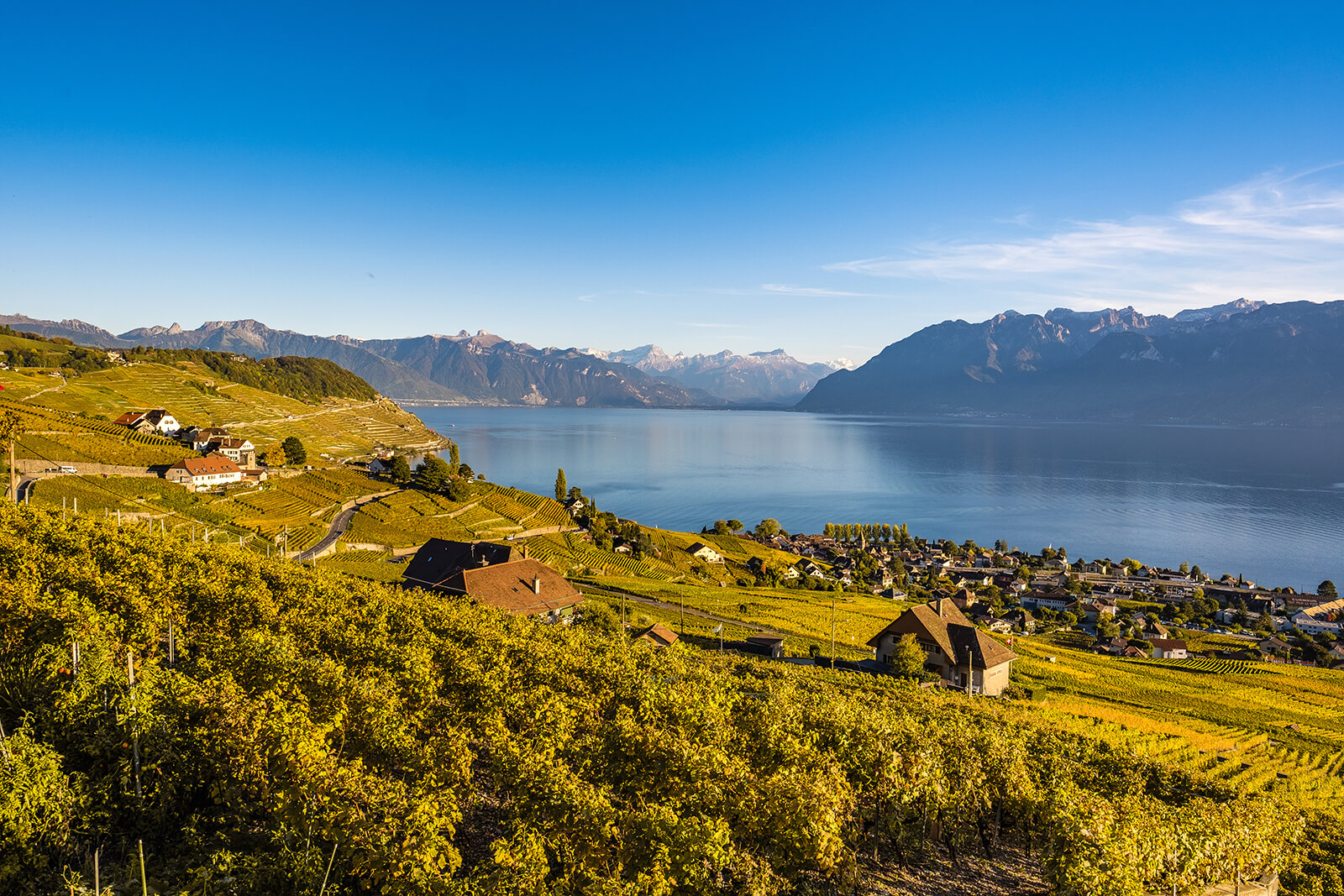 Domaine Croix Duplex Winery in Grandvaux, Switzerland