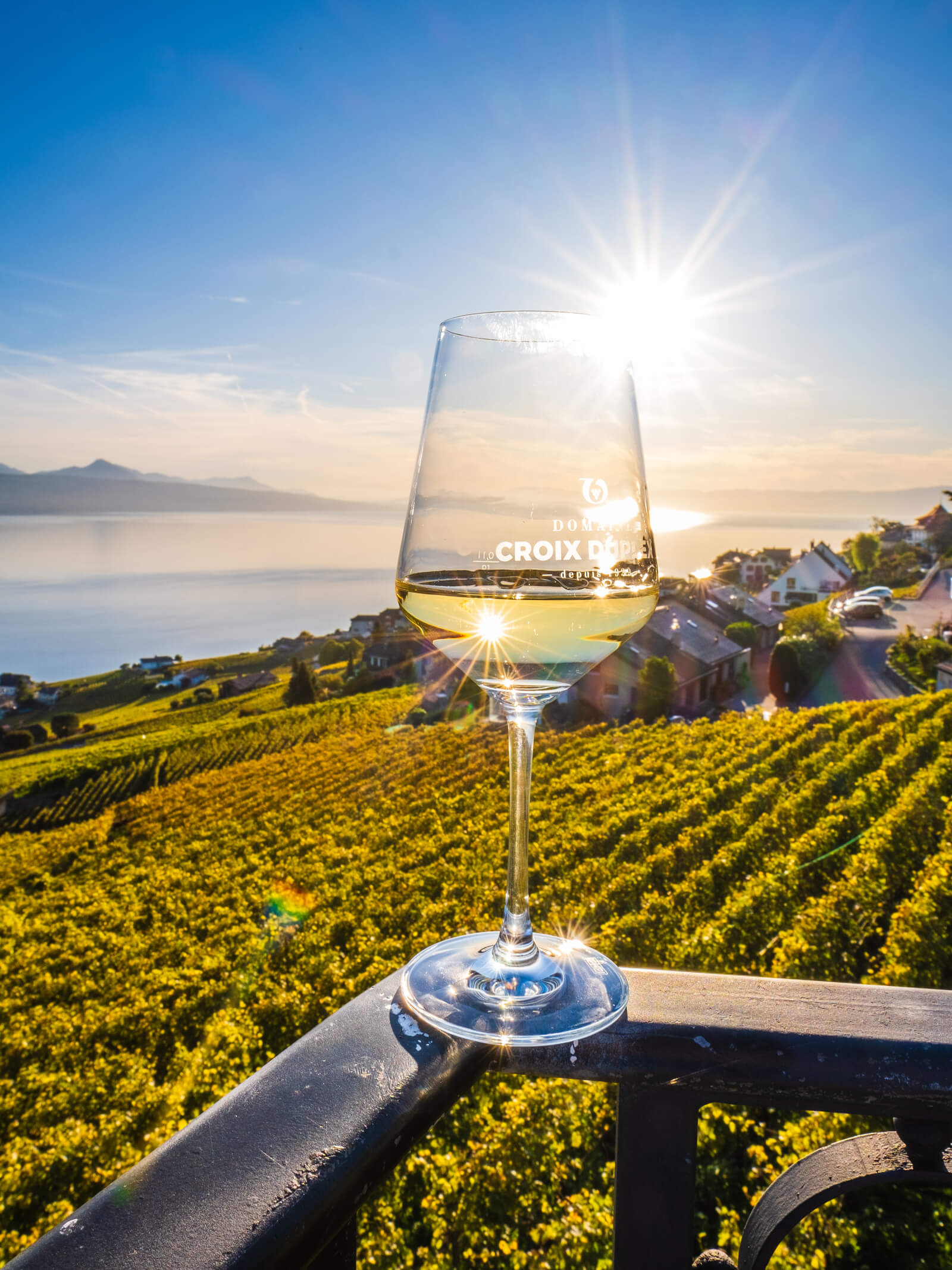 Domaine Croix Duplex Winery in Grandvaux, Switzerland