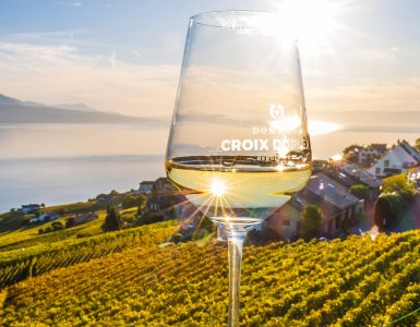 Domaine Croix Duplex Winery in Grandvaux, Switzerland