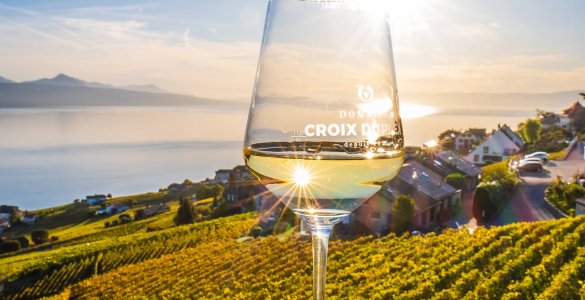 Domaine Croix Duplex Winery in Grandvaux, Switzerland
