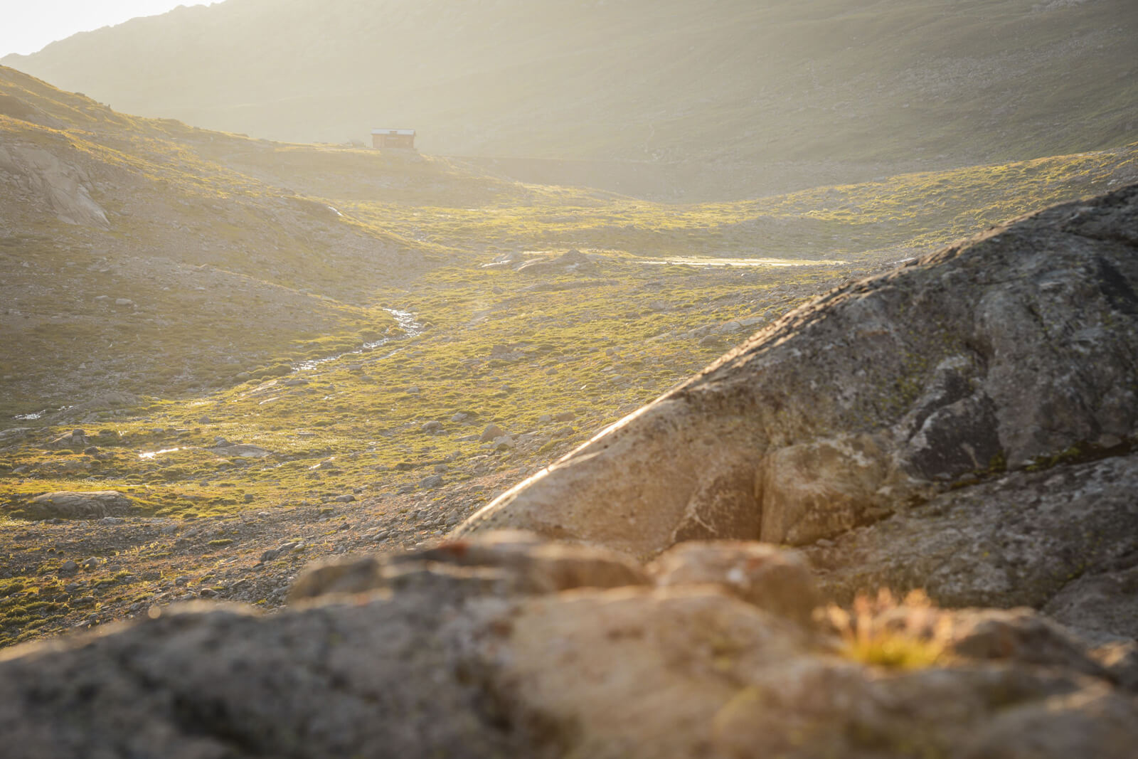 Swiss Alps 100 Endurance Race in Valais (2019)