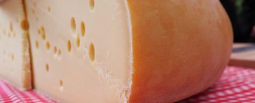 Why Does Swiss Cheese Have Holes? Emmentaler AOP URTYP Cheese