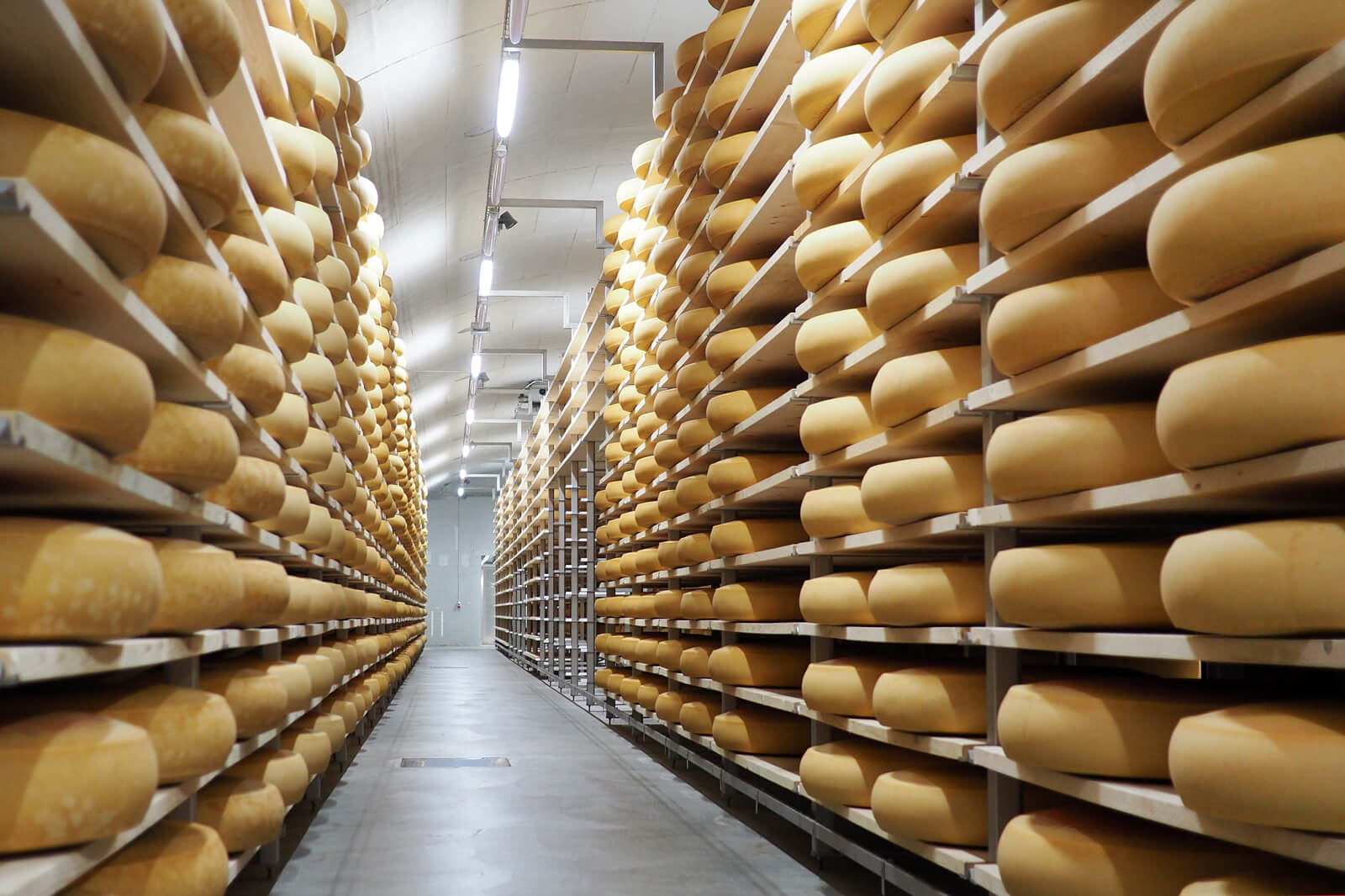 Emmentaler Cheese Storage Facility in Switzerland