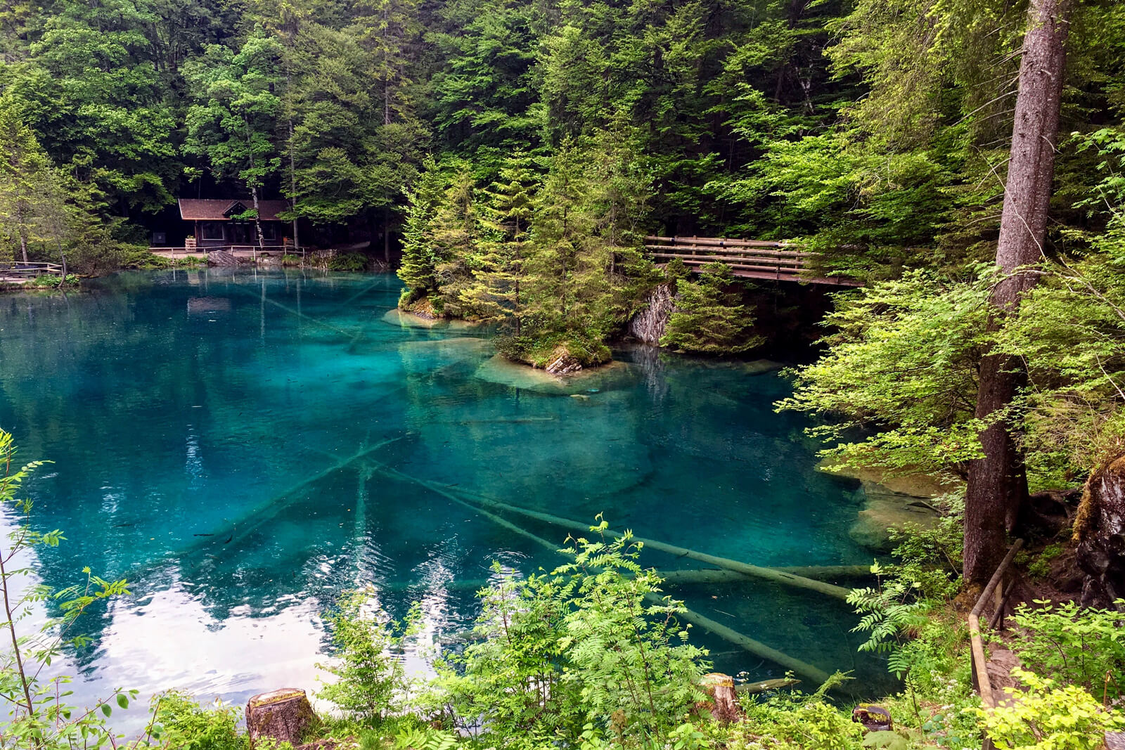 Lake Blausee in Switzerland during summer