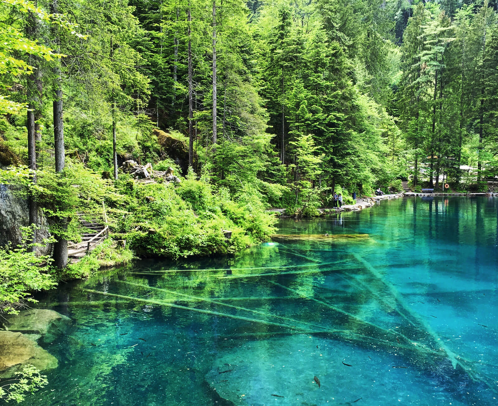 Lake Blausee in Switzerland during summer