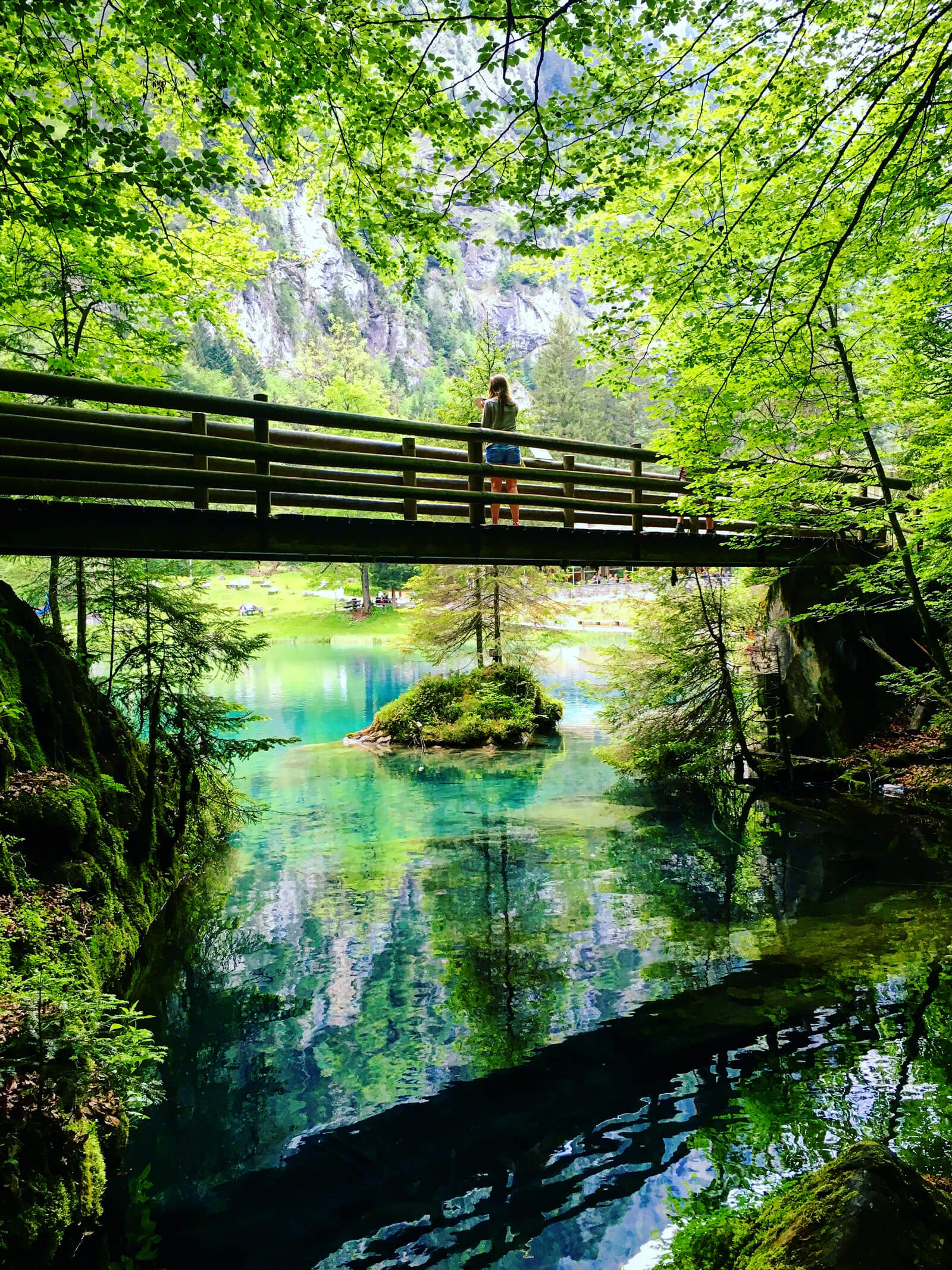 Lake Blausee in Switzerland during summer