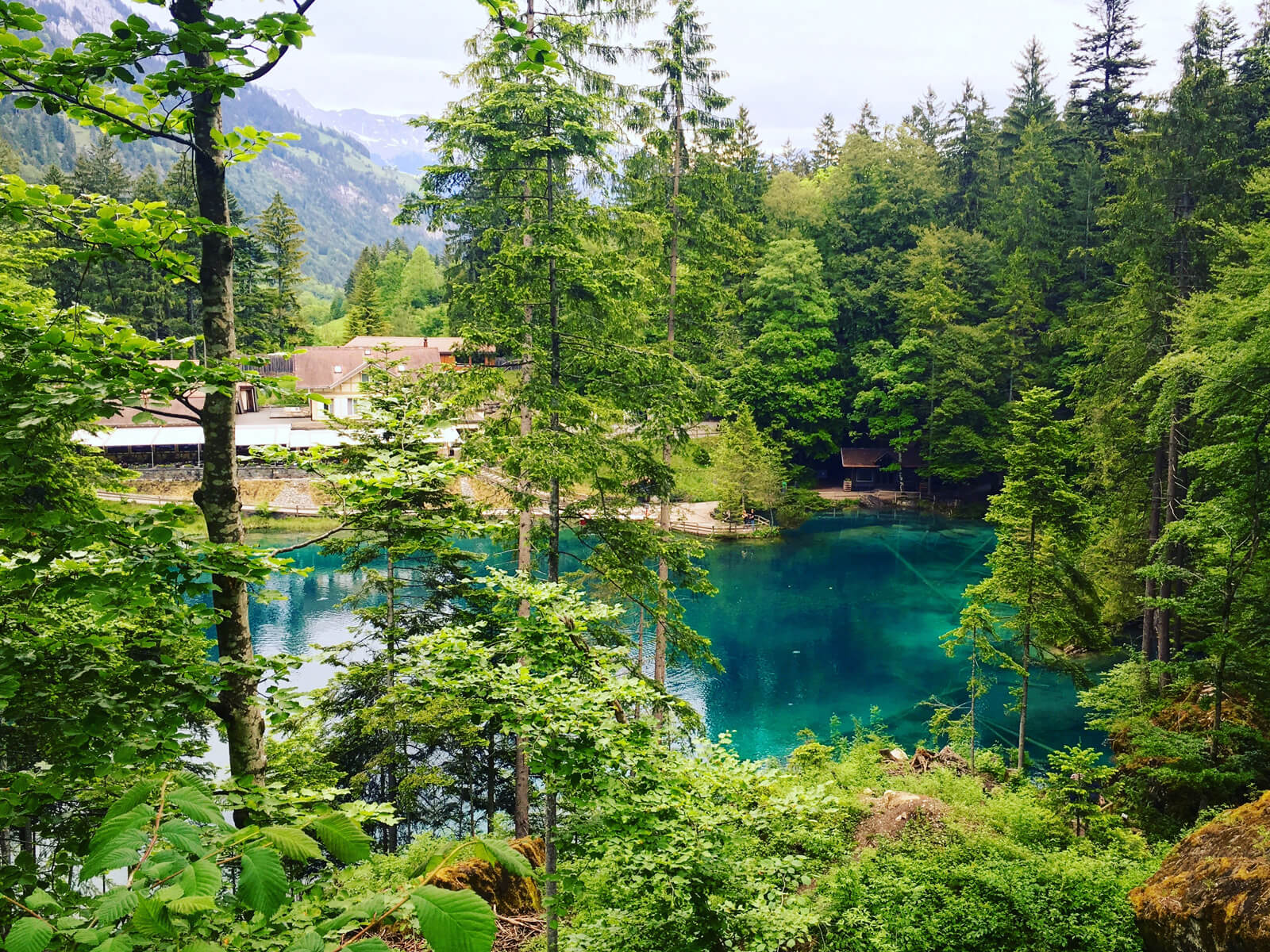 Lake Blausee in Switzerland during summer