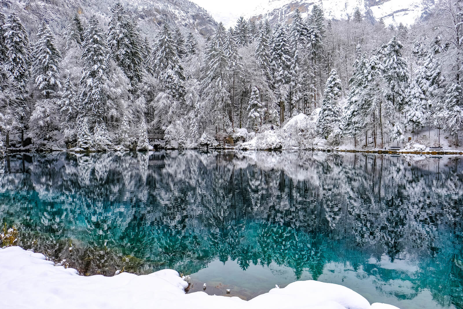 Lake Blausee in Switzerland during winter