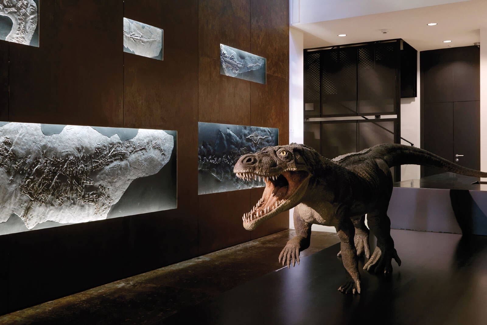 Fossil Museum Monte San Giorgio - Enrico Cano