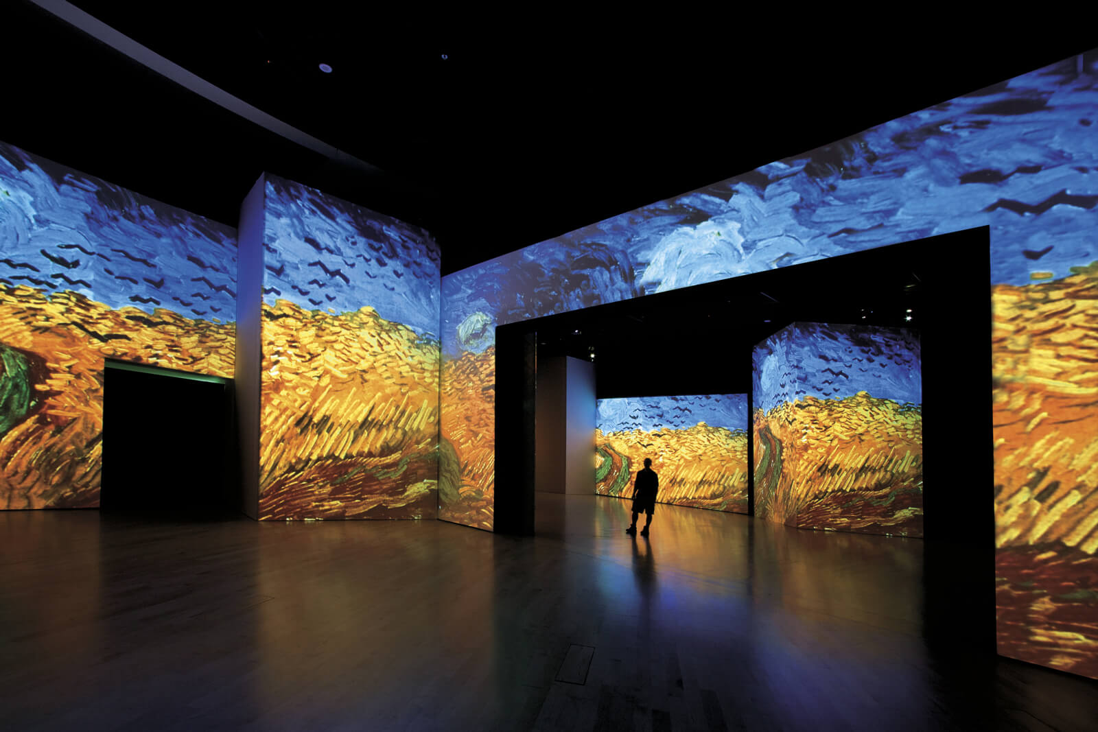 Van Gogh Alive Exhibit