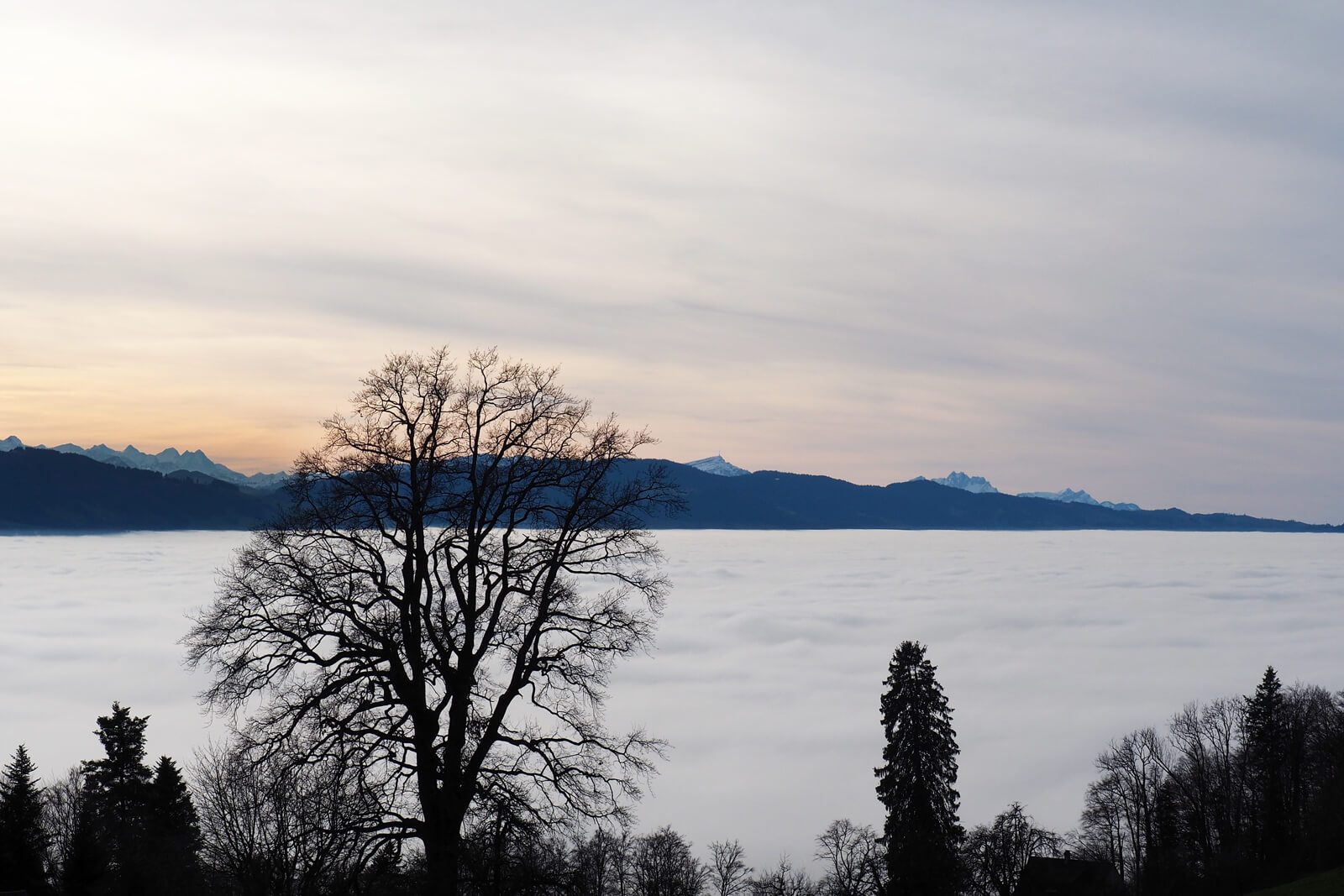 Nebelmeer at Hasenstrick - Sea of Fog aboove Switzerland