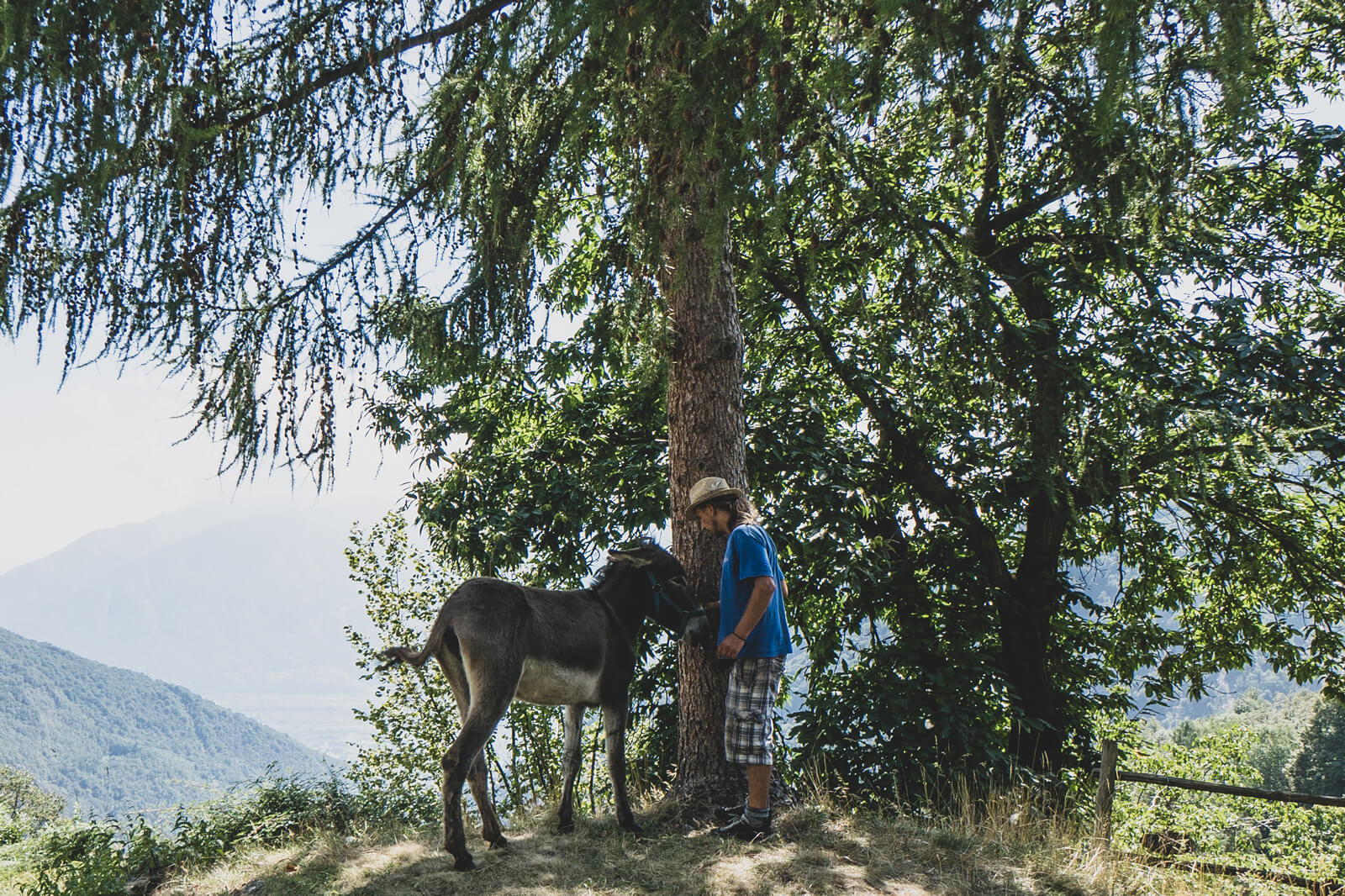 Campo Cortoi - Volunteering in Ticino, Switzerland