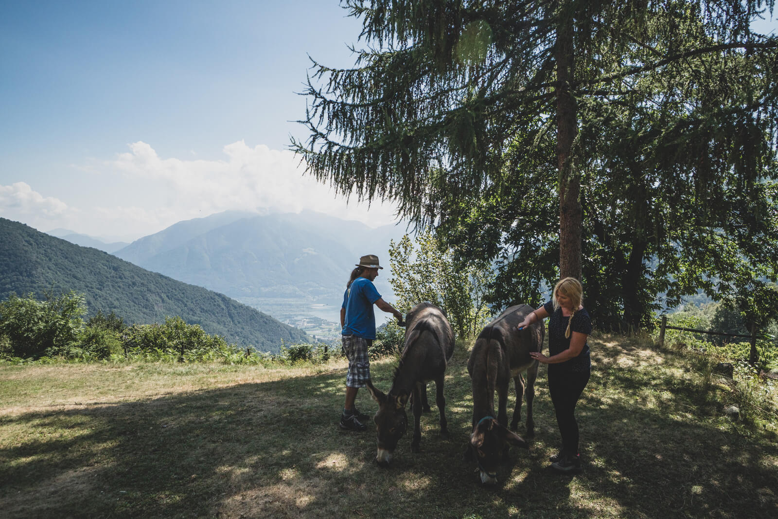 Campo Cortoi - Volunteering in Ticino, Switzerland